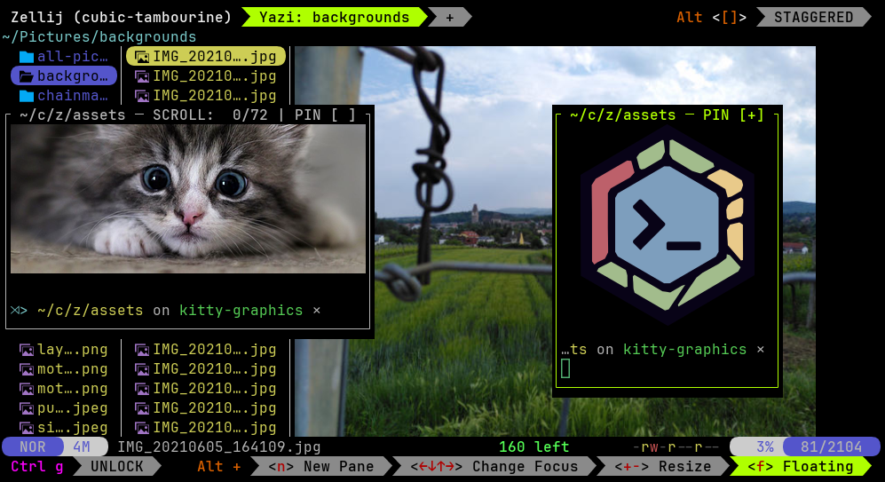 A screenshot of images rendered inside Zellij panes using the Kitty graphics protocol